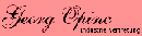 Opinc